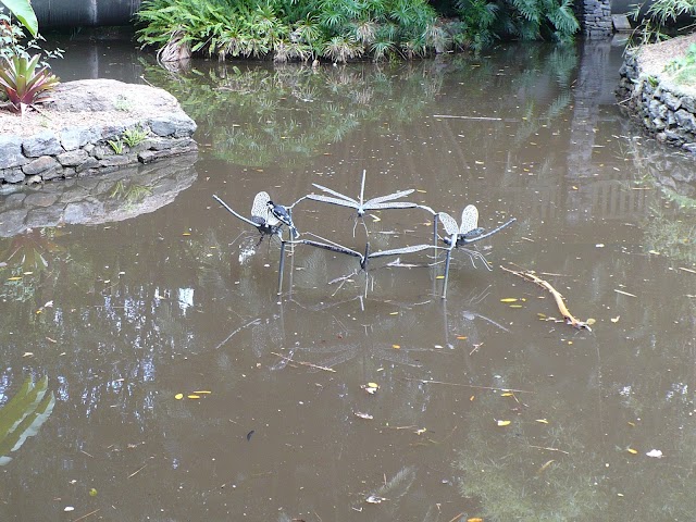 Mount Coot-tha Botanic Gardens