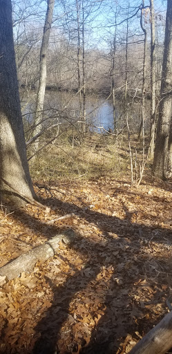 Whitcomb Woods - Thumbnail
