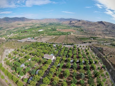 Photos of Camping Savi&ntilde;an Park