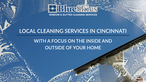 Blue Skies Window & Gutter Cleaning Services
