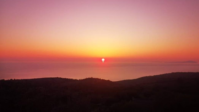 Αυγωνύμων, Αυγώνυμα 821 00