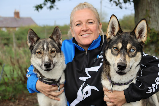 Speak Dog Behaviour Support and Education