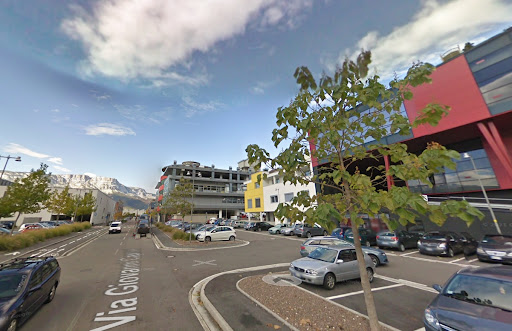 Viale di Paulownia - Bolzano - Paulownia4Planet Gallery - Italy