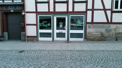 Kunstbude Freisinn - Visual