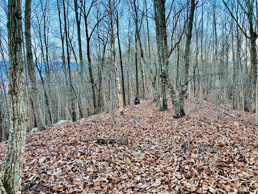 Dutchman's Creek Trailhead - Thumbnail