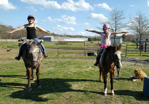 Sweet Meadow Stable Gallery - United States