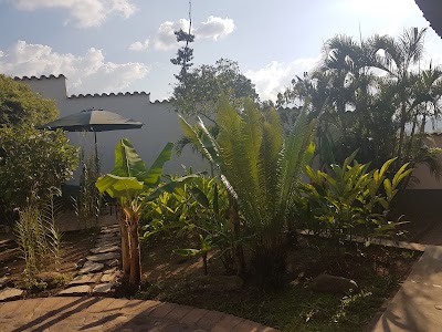 Photos of Iguana Azul