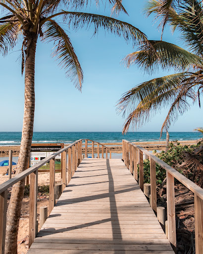 Playa Chatarra Gallery - United States