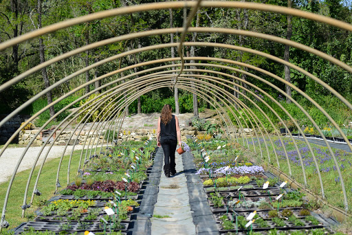 Photo de Élagage et entretien de jardin - Joffrey Martel à Rochegude (26790)