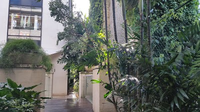 Photos of Lemongrass