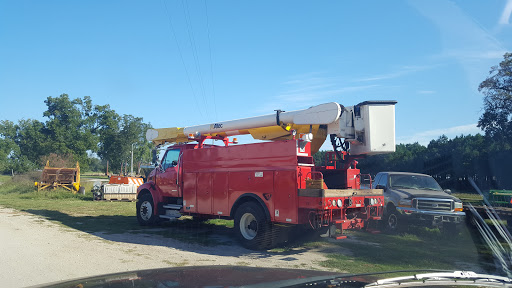 Andrew's Tree Service Gallery - United States