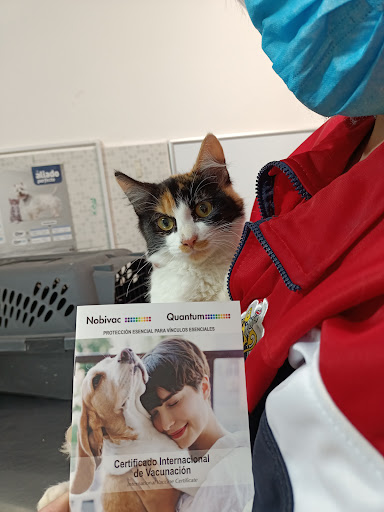 Pet's Medical Center - Thumbnail