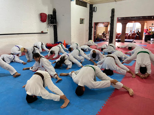 Karate - Visual