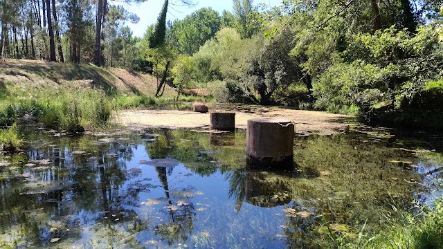 Lake Swimming Area "Olhos da Fervença"