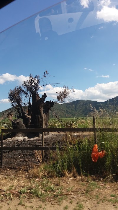 Photos of Santa Julia