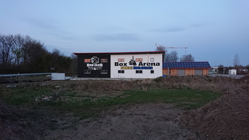 Box Arena - Visual