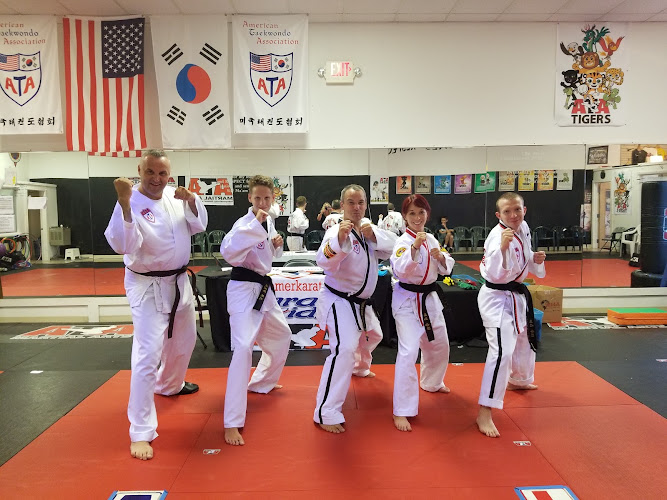 Homer Glen Karate for Kids - taekwondo in Homer Glen, Illinois