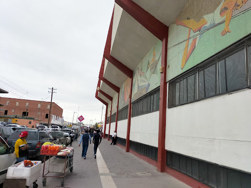 Gimnasio Municipal Josué Neri Santos - Thumbnail