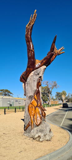 Barmera Netball courts
