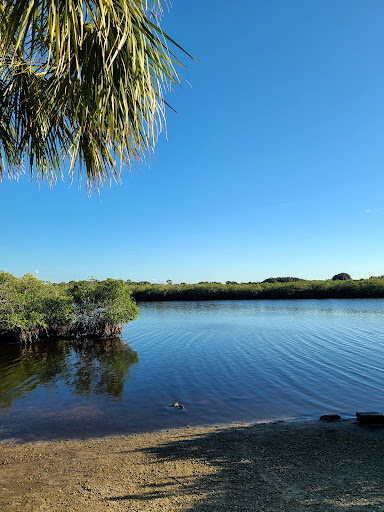 Brasher Park - Visual