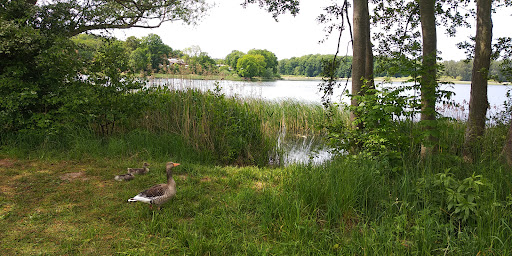 FKK-Insel Sternberg - Thumbnail