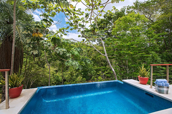 The Lodge at Chaa Creek by null