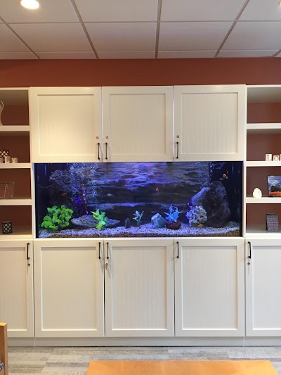 Aquarium Management Systems