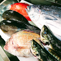 鮮魚美酒 清なり