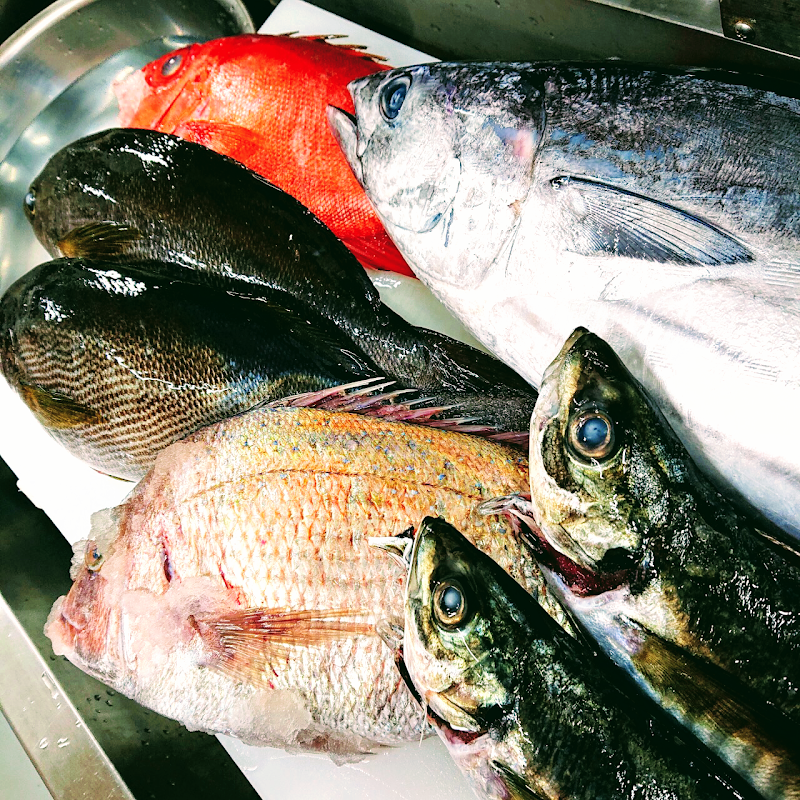 鮮魚美酒 清なり