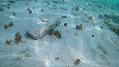 Photos of Jan Thiel Beach
