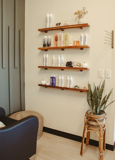 Moxie Studio - Visual