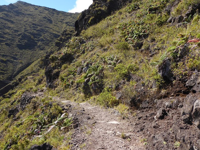 Halemau'u Trailhead