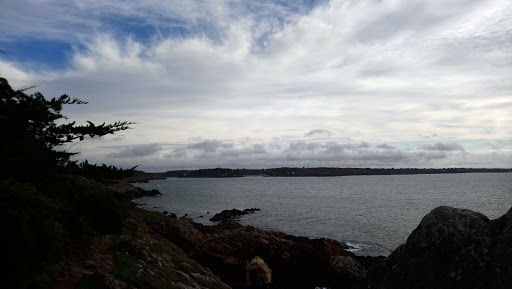 Café L'île Verte - Thumbnail