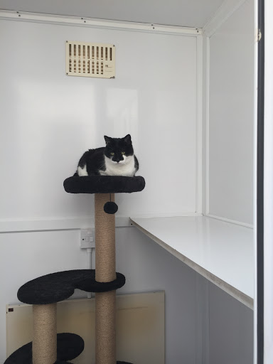 Browside Cattery