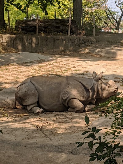 Hippoquarium