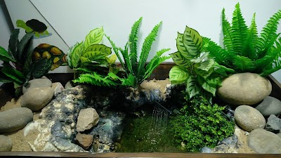Photos of Love For Hobby