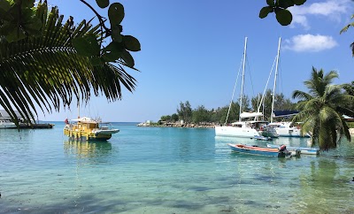 travel-agency