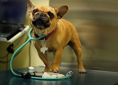Photos of Animal Clinic of Marine Park