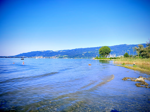 Seecamping Bregenz - Visual