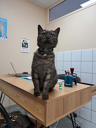 Photo n°4 de Vétérinaire du Parc à Vittel (Vétérinaire)