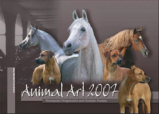 Ambulatorio Veterinario"CORLEOVET" - Thumbnail