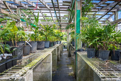 D'Asign Source Botanicals - Visual