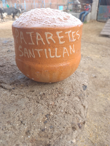 Pajaretes el guero - Thumbnail