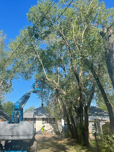 LS Tree Services LLC - Visual