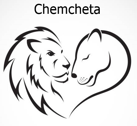 Chemcheta - Visual
