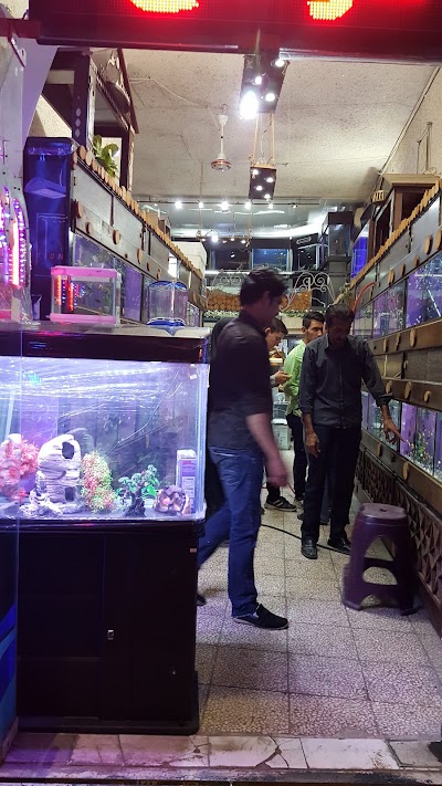 Photos of City Aquarium