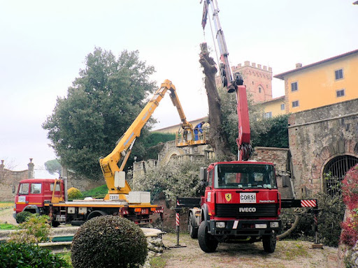 Autotrasporti Corsi - Italy