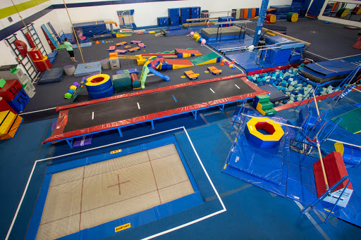 Alpha Gymnastics - Visual