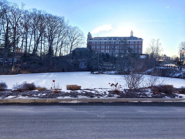 The Culinary Institute of America