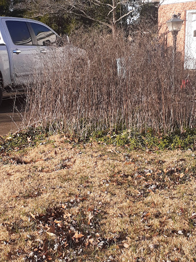 Pro Clean Services - Visual